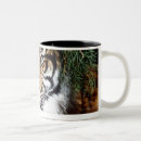 Recherche de tigre de sumatran tasses Zoo