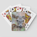 Recherche de faon jeux de cartes Faune
