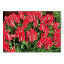 Recherche de pinocchio cartes postales Bois