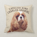 Suche nach spaniel kissen Niedlich