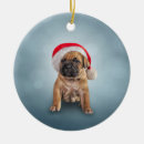 Recherche de clipart ornements Mignon