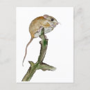 Suche nach realistische postkarten Aquarell