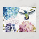 Recherche de colibris cartes postales Florales