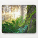 Suche nach oregon mousepads Moos