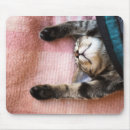 Recherche de chatons tapis souris Aucunes personnes