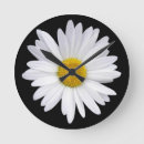 Recherche de marguerite blanche horloges Floral