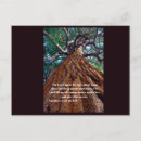 Recherche de beller cartes postales Arbre