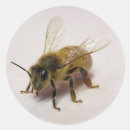 Recherche de pollen autocollants Nature