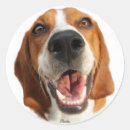 Suche nach happy dog aufkleber Haustiere