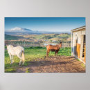 Recherche de horses posters Beautiful