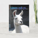 Recherche de funny llama cartes postales Animaux