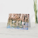 Suche nach niedliche enten karten Vögel