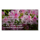 Recherche de azalee cartes visite Floral