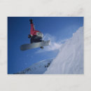 Suche nach snowbird poster Usa