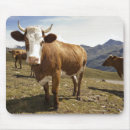 Suche nach sorglos elektronik zubehör Tiere