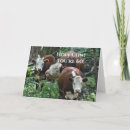 Suche nach heiliges land karten Nutztier