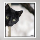 Recherche de chat curieux posters Noir
