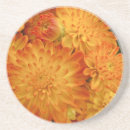 Suche nach chrysantheme untersetzer Pflanze