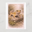Recherche de leopard cartes postales Antique