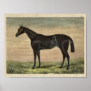 Suche nach vintages pferd poster Bauernhof