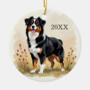 Recherche de moutons noirs ornements Chien