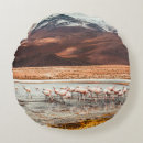 Suche nach flamingos kissen Retro