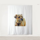 Recherche de border terrier posters Amoureux des chiens