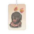 Suche nach labrador retriever autozubehör Welpe
