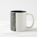 Recherche de pivert tasses Café