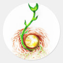 Suche nach pflanzen samen poster Grün