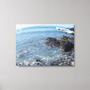 Recherche de vue de plage Hawaii