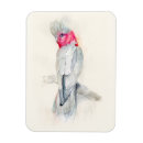 Recherche de opéra magnets Aquarelle