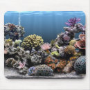 Recherche de aquarium tapis souris L'eau