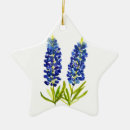 Suche nach texas stern ornamente Blau