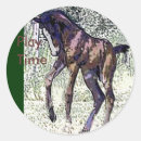 Recherche de colt autocollants Chevaux