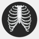 Recherche de rib autocollants Squelette
