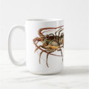 Recherche de langouste tasses Nourriture