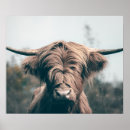 Recherche de terre haute posters Pour tous