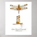 Suche nach libellen poster Schmetterling