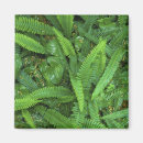 Suche nach regenwald magnete Grün