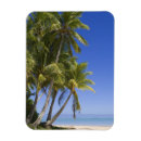 Recherche de bord magnets Sable