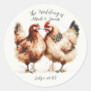 Recherche de poulet brun Ferme