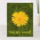 Suche nach gelber löwenzahn postkarten Natur