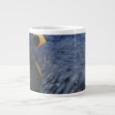 Recherche de perroquet bleu tasses Ara