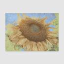 Recherche de sunflower tissue paper Fleurs