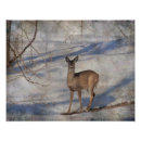 Suche nach hufe poster Natur