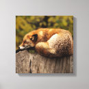 Suche nach ruhe… dann poster leinwandbilder Rot