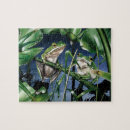 Recherche de grenouille puzzles Vert