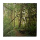 Recherche de forest carreaux Arbres