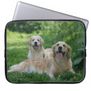 Suche nach flach laptop schutzhüllen Retriever golden
